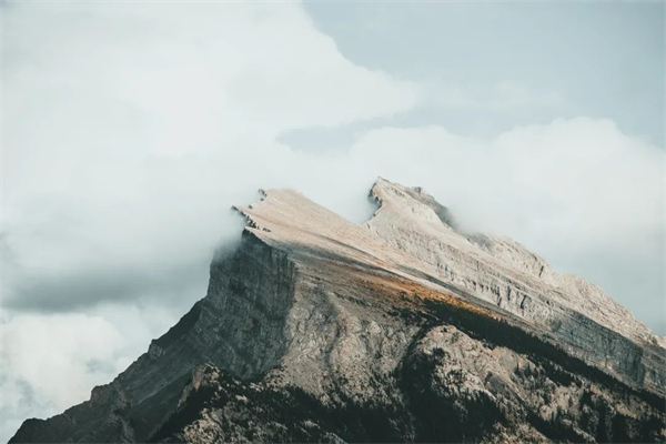 壹加壹巖板